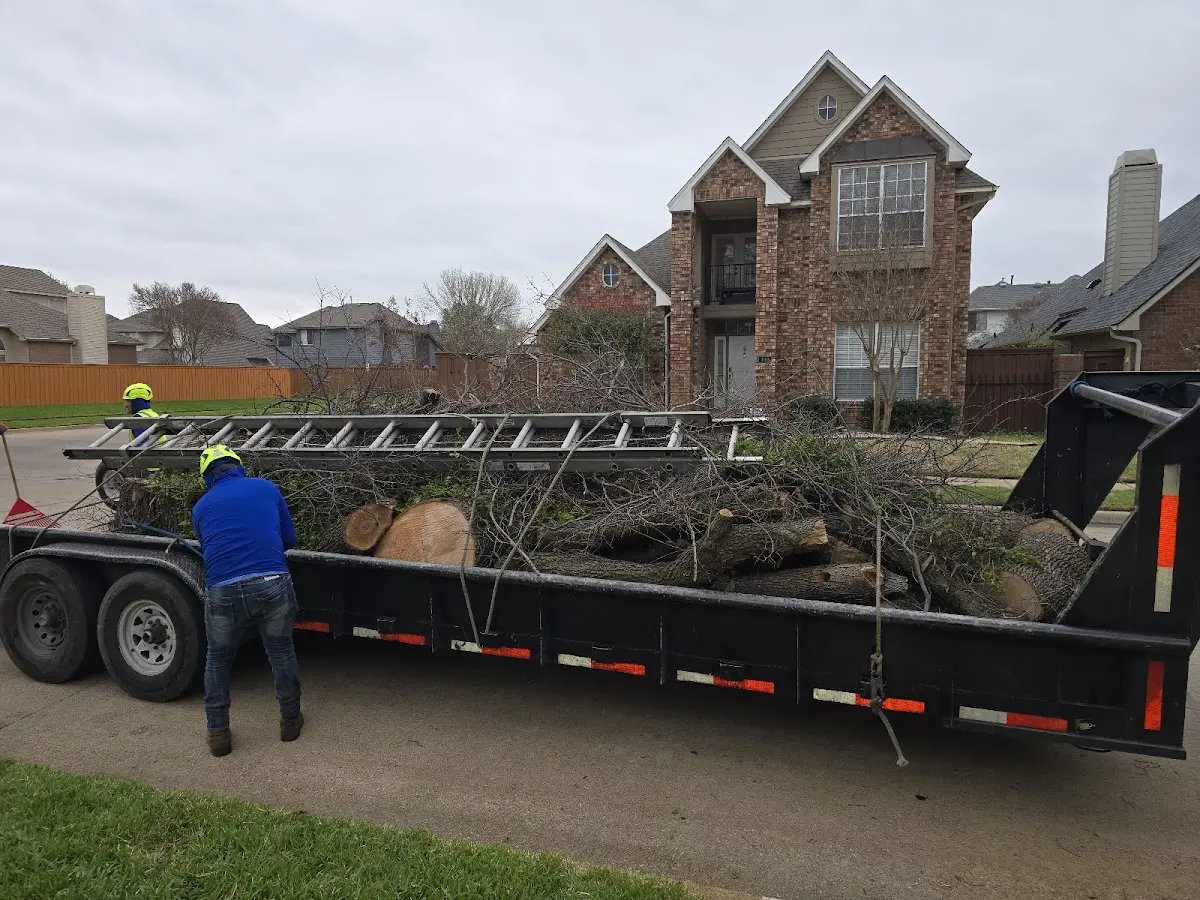 Expert Lot Clearing with proper safety equipment in Holbrook